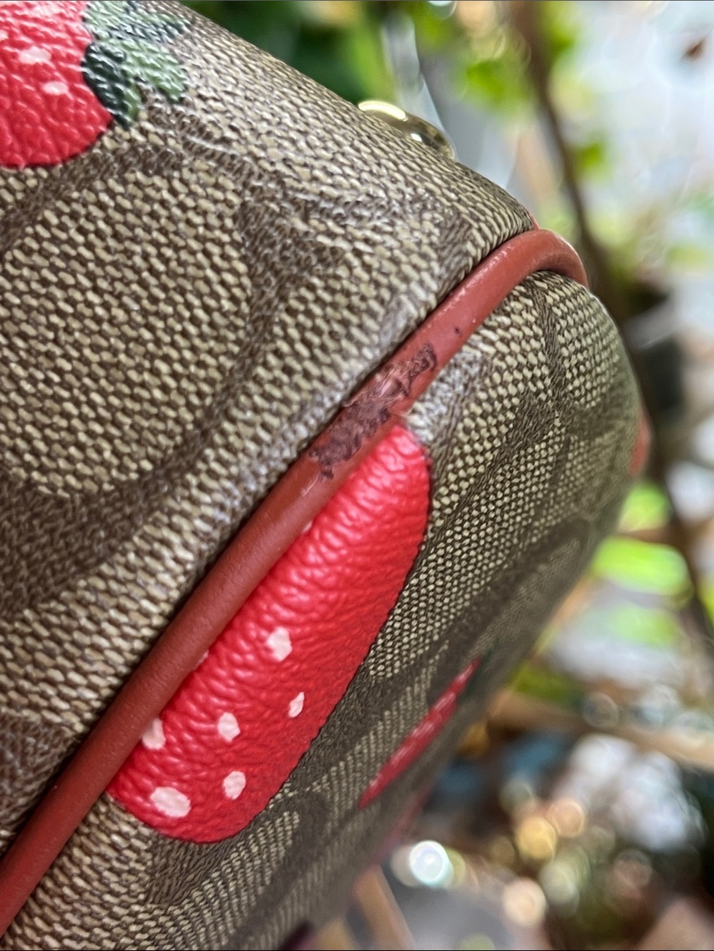 Coach Rowan Satchel with wild Red Strawberry Print - Picture 14 of 16
